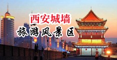 看操逼的大片中国陕西-西安城墙旅游风景区